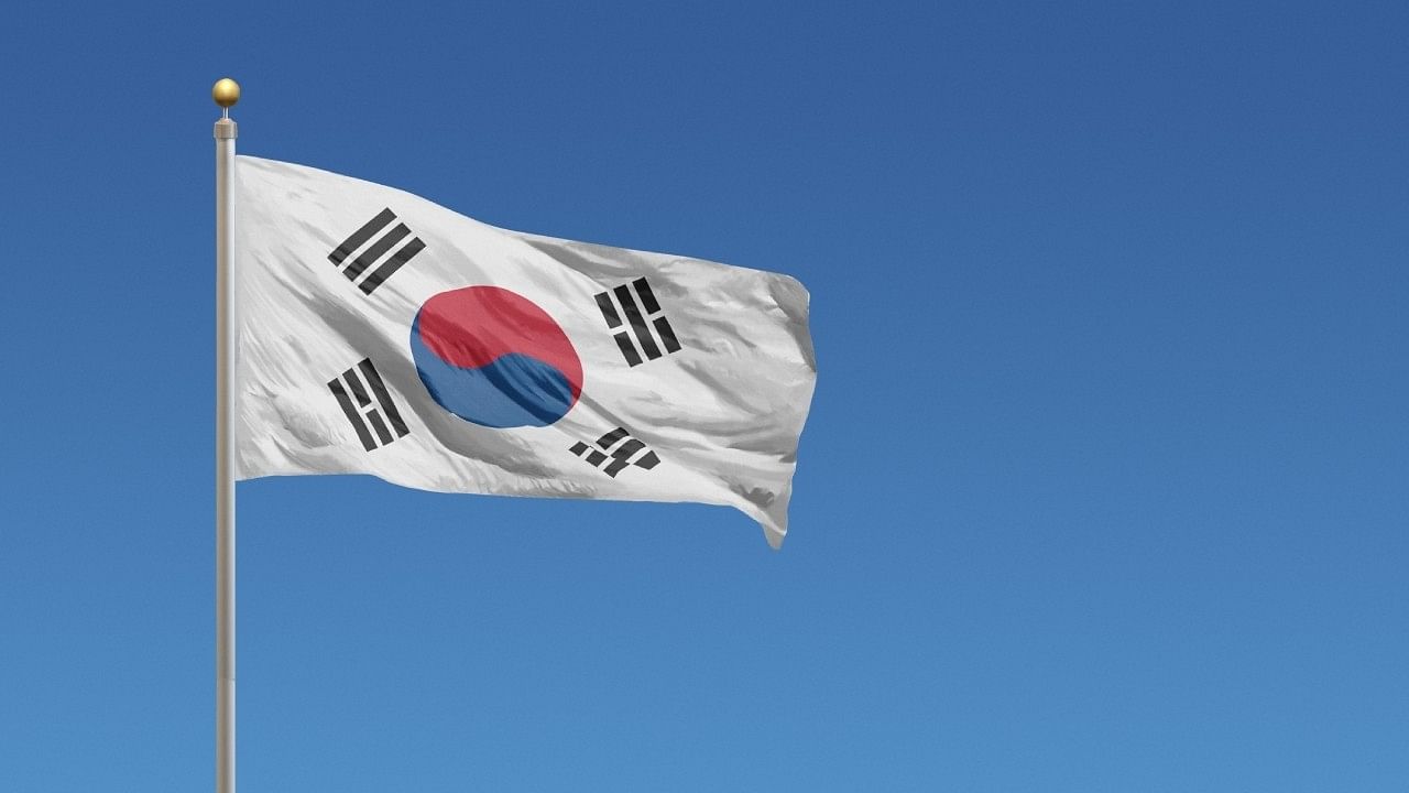 <div class="paragraphs"><p>South Korean flag.</p></div>