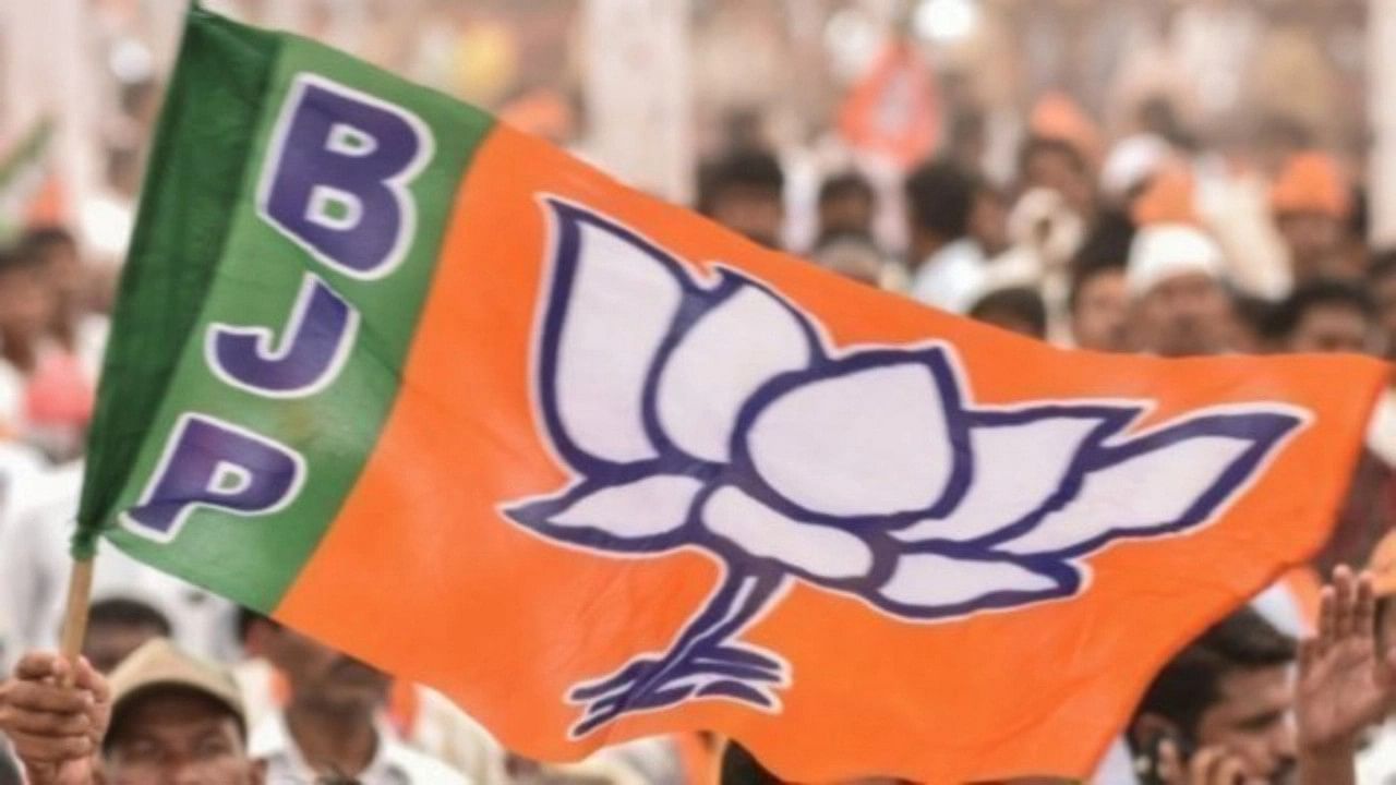 <div class="paragraphs"><p>The BJP flag.</p></div>