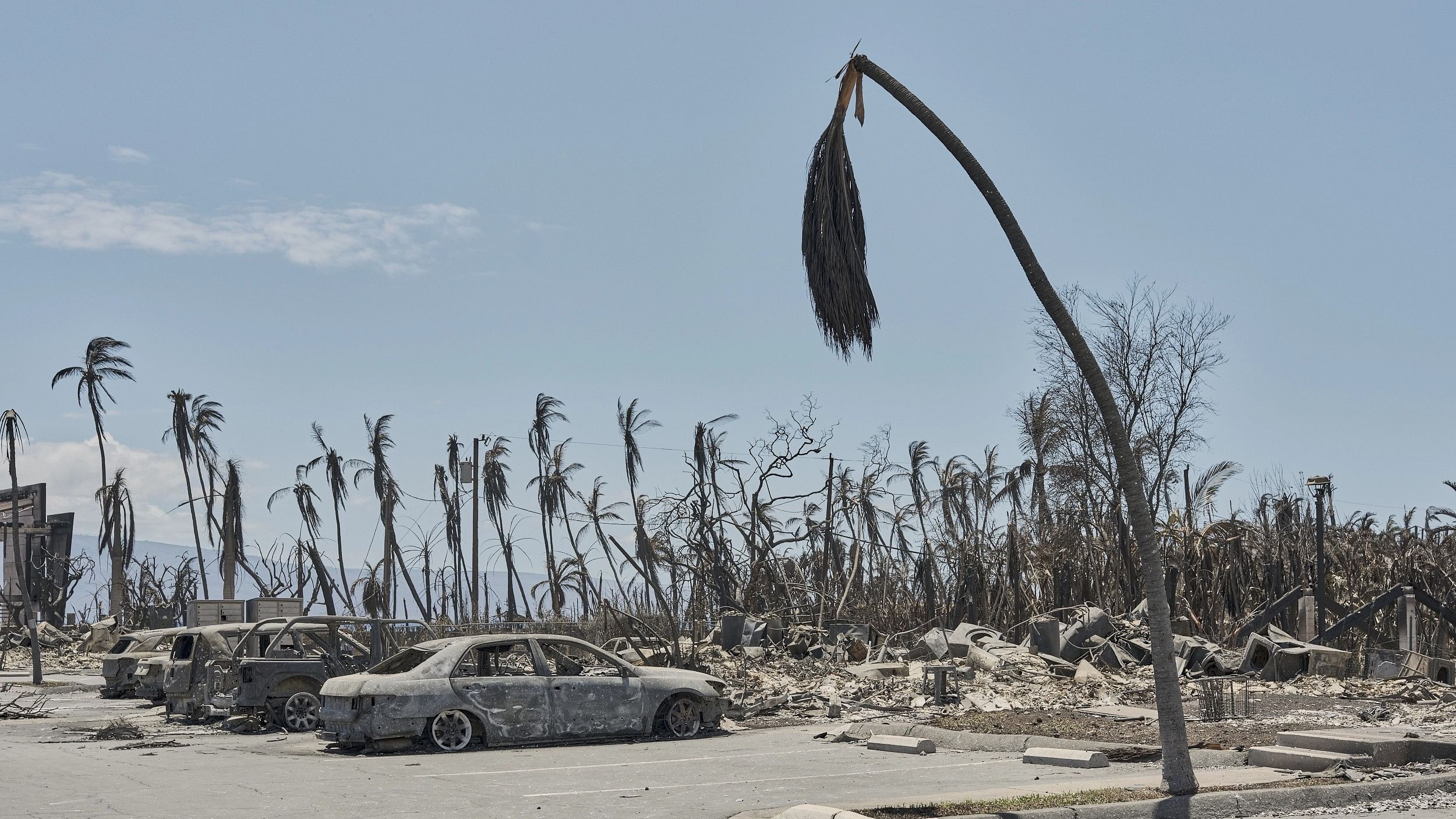 <div class="paragraphs"><p>Aftermath of Maui wildfire.</p></div>