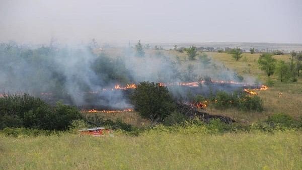 <div class="paragraphs"><p>Firefighters work in the area hit by wildfires in Volgograd Region, Russia. </p></div>