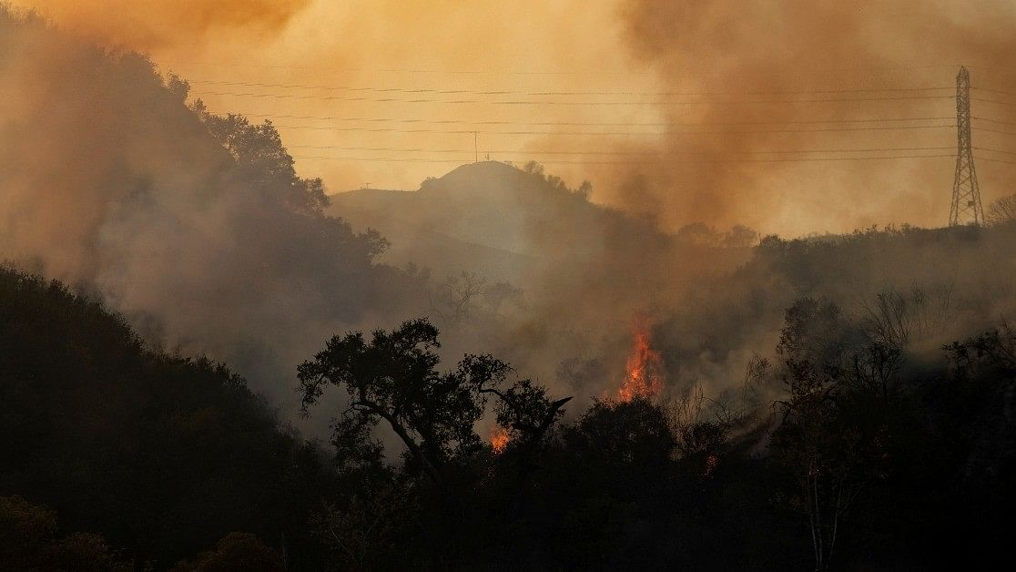 <div class="paragraphs"><p>Representative image of wildfire.</p></div>