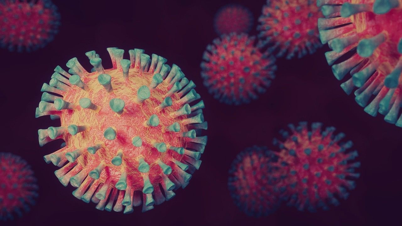 <div class="paragraphs"><p>Representative image of virus. </p></div>