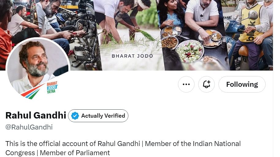 <div class="paragraphs"><p>A screengrab of Congress MP Rahul Gandhi's Twitter profile.&nbsp;</p></div>