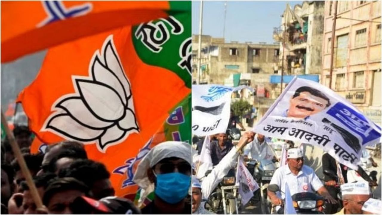 <div class="paragraphs"><p>Flags of AAP and BJP.</p></div>