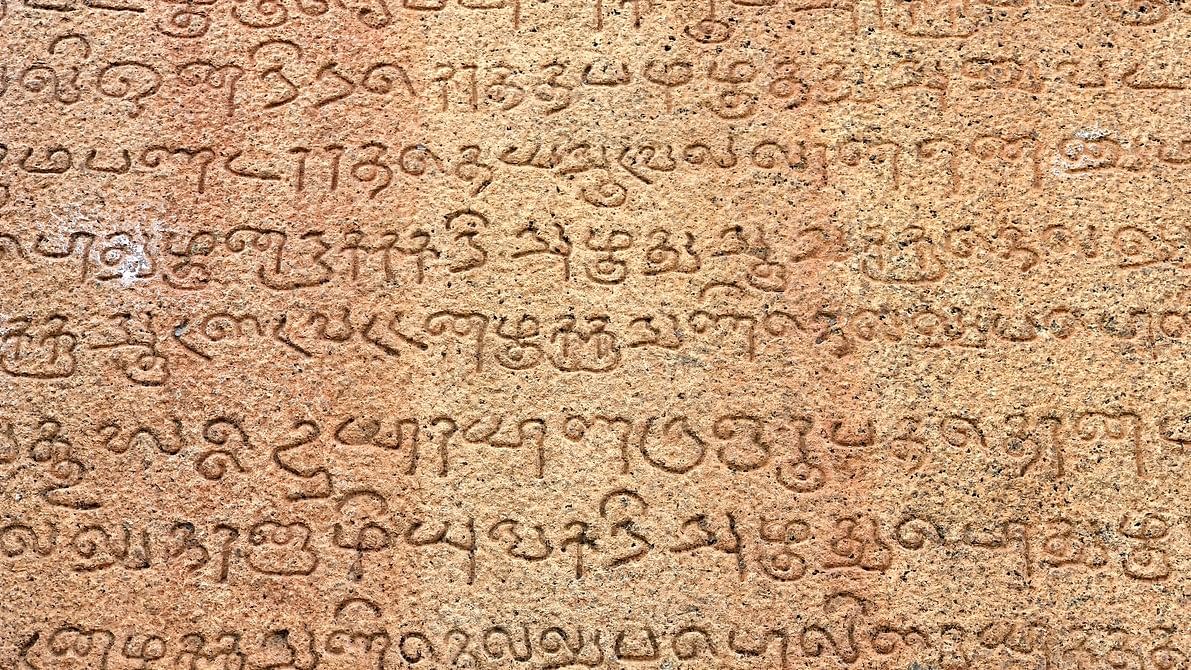 <div class="paragraphs"><p>Some linguists, however, argue that the appearance of Sanskrit was predated by Tamil, a Dravidian language that is still used by almost 85 million native speakers in southern India and Sri Lanka.</p></div>