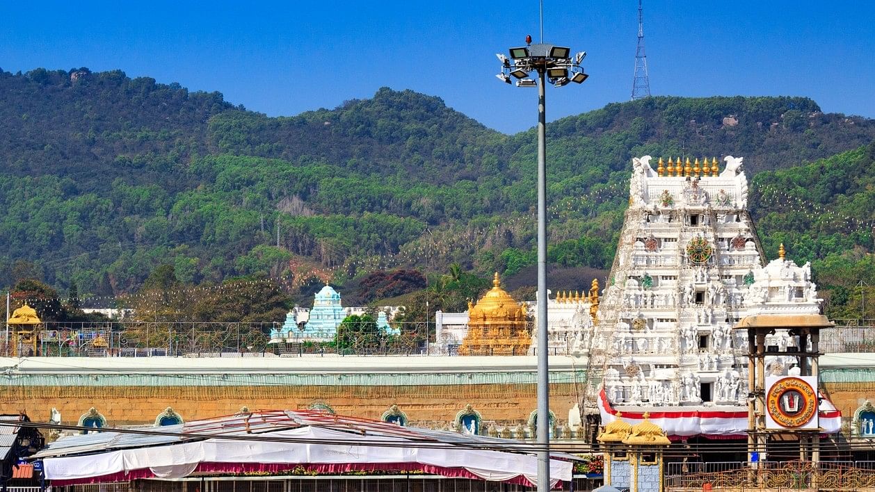 <div class="paragraphs"><p>Sri Venkateswara Temple in Tirupati attracts lakhs of tourists every year driving the hotel business in the temple town.</p></div>