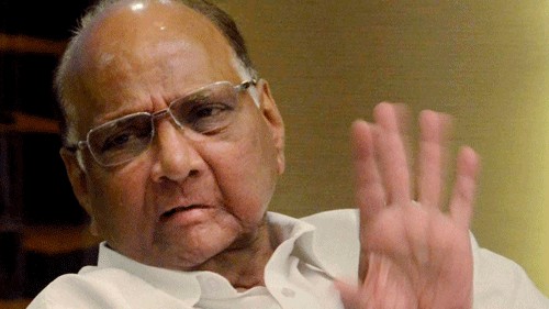 <div class="paragraphs"><p>NCP chief Sharad Pawar.&nbsp;</p></div>