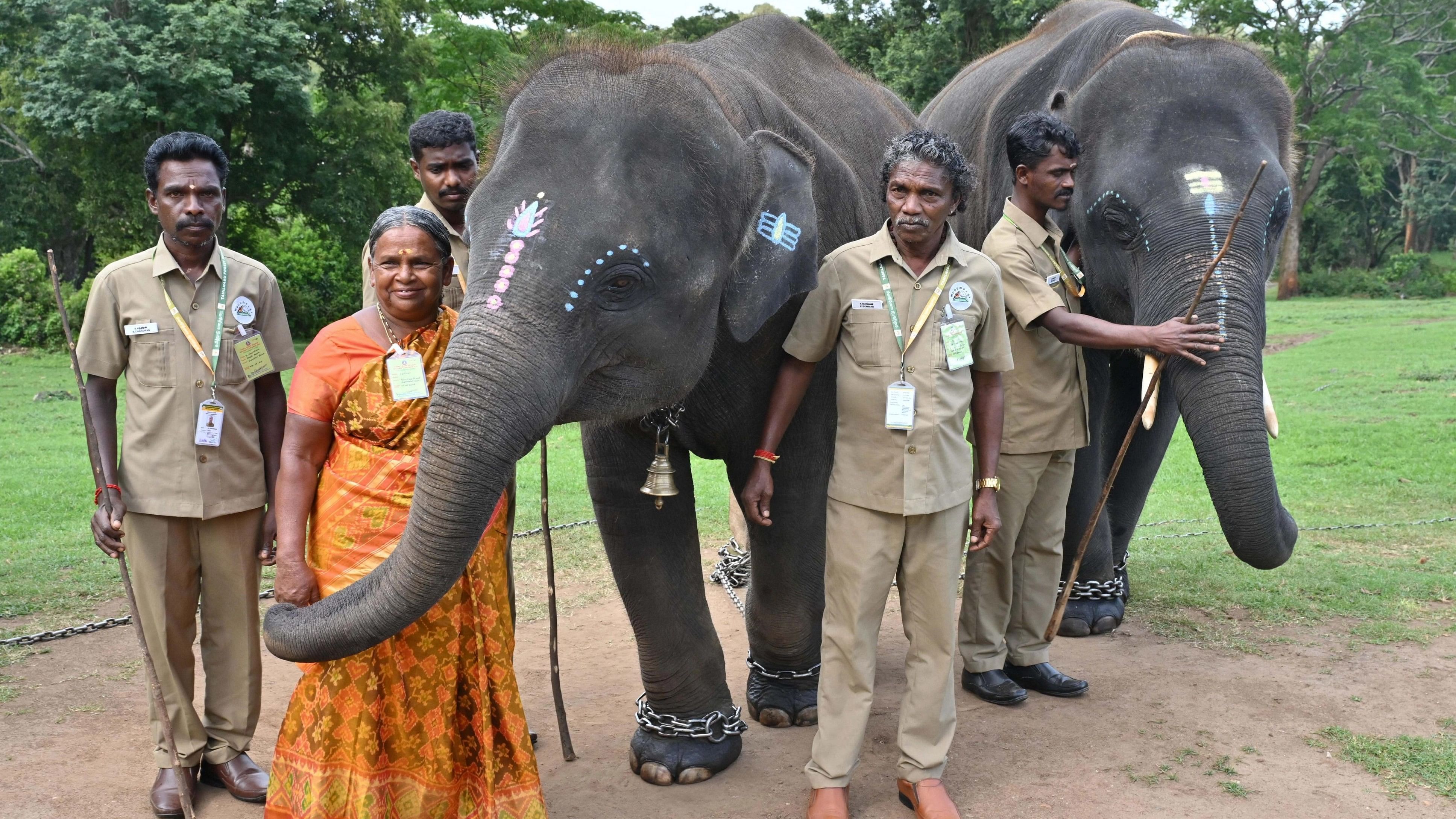 <div class="paragraphs"><p>The tribal couple Bomman (c) and Bellie, who were featured in Oscar-winning documentary The Elephant Whisperers with others during President Droupadi Murmus visit to Theppakadu Elephant Camp at Mudumalai Tiger Reserve, in Nilgiris district, Saturday, Aug. 5, 2023. </p></div>