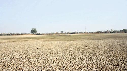 <div class="paragraphs"><p>Representative image of dry land</p></div>