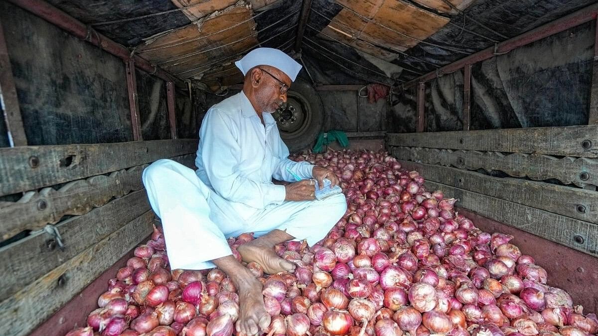 <div class="paragraphs"><p>A farmer at Nashik's Vinchur onion market during farmers and traders’ strike against the Centre's decision to impose export duty of 40 per cent on onions.</p></div>