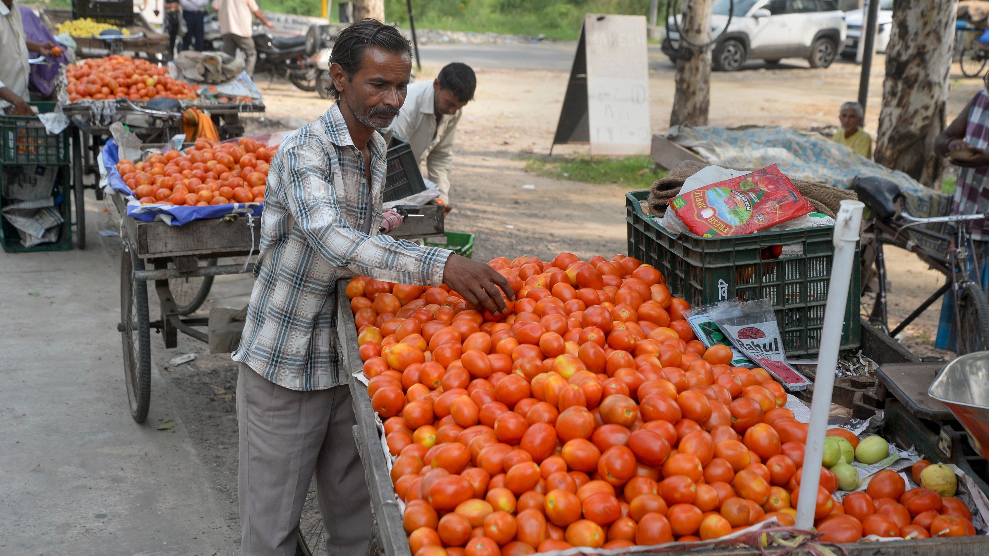 <div class="paragraphs"><p>Vendors arrange tomatoes on their carts to sell them door-to-door, in Jalandhar, Aug. 18, 2023. </p></div>