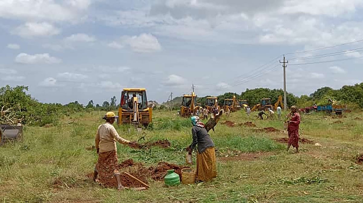 202 acres of forest land reclaimed in Kolar district