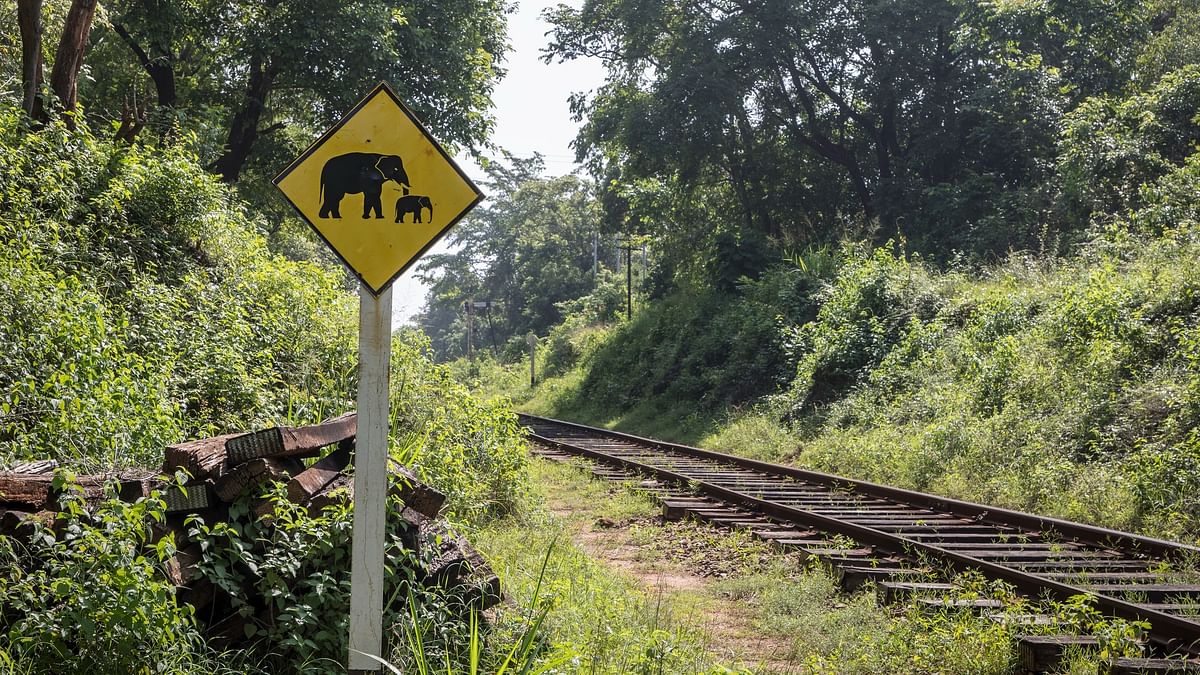 Intrusion Detection System adopted by ECoR to reduce train-elephant collisions