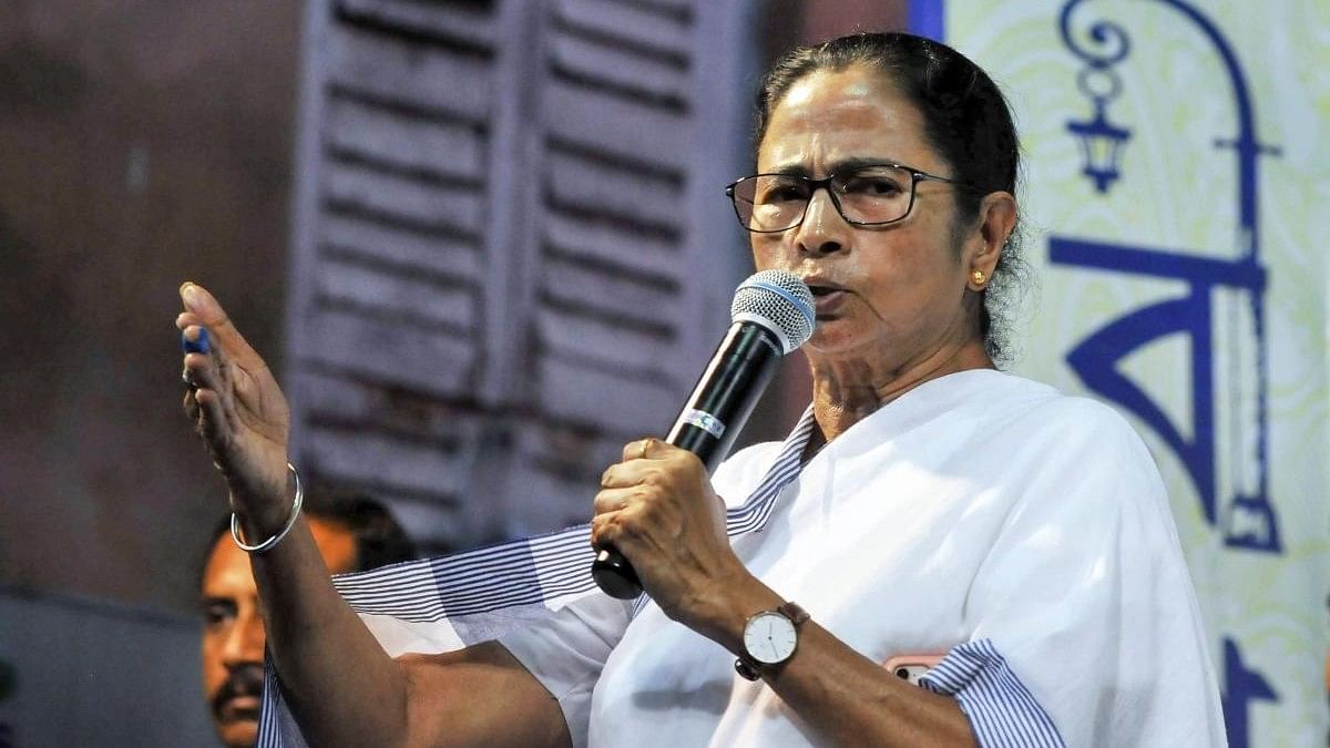 <div class="paragraphs"><p>West Bengal Chief Minister Mamata Banerjee.</p></div>