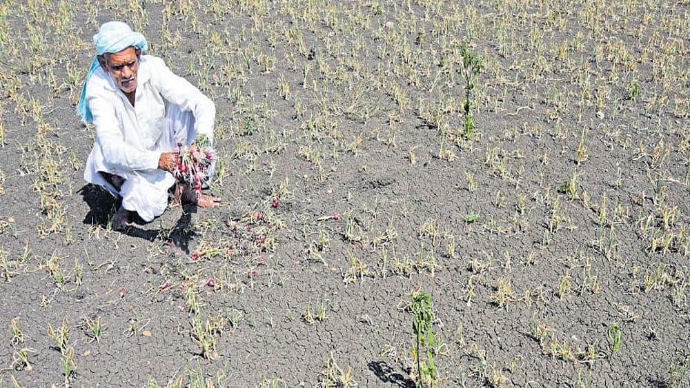 <div class="paragraphs"><p>Representative image of a farmer in a drought-hit land.</p></div>