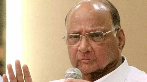 <div class="paragraphs"><p>NCP chief Sharad Pawar.</p></div>