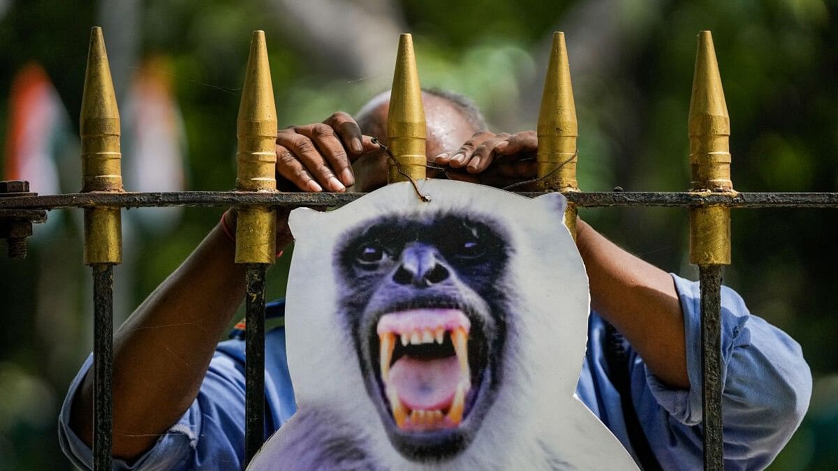 <div class="paragraphs"><p>A cut-out of 'langur' being fixed to a fence to scare monkeys as part of preparations for the upcoming G20 Summit, in New Delhi.</p></div>