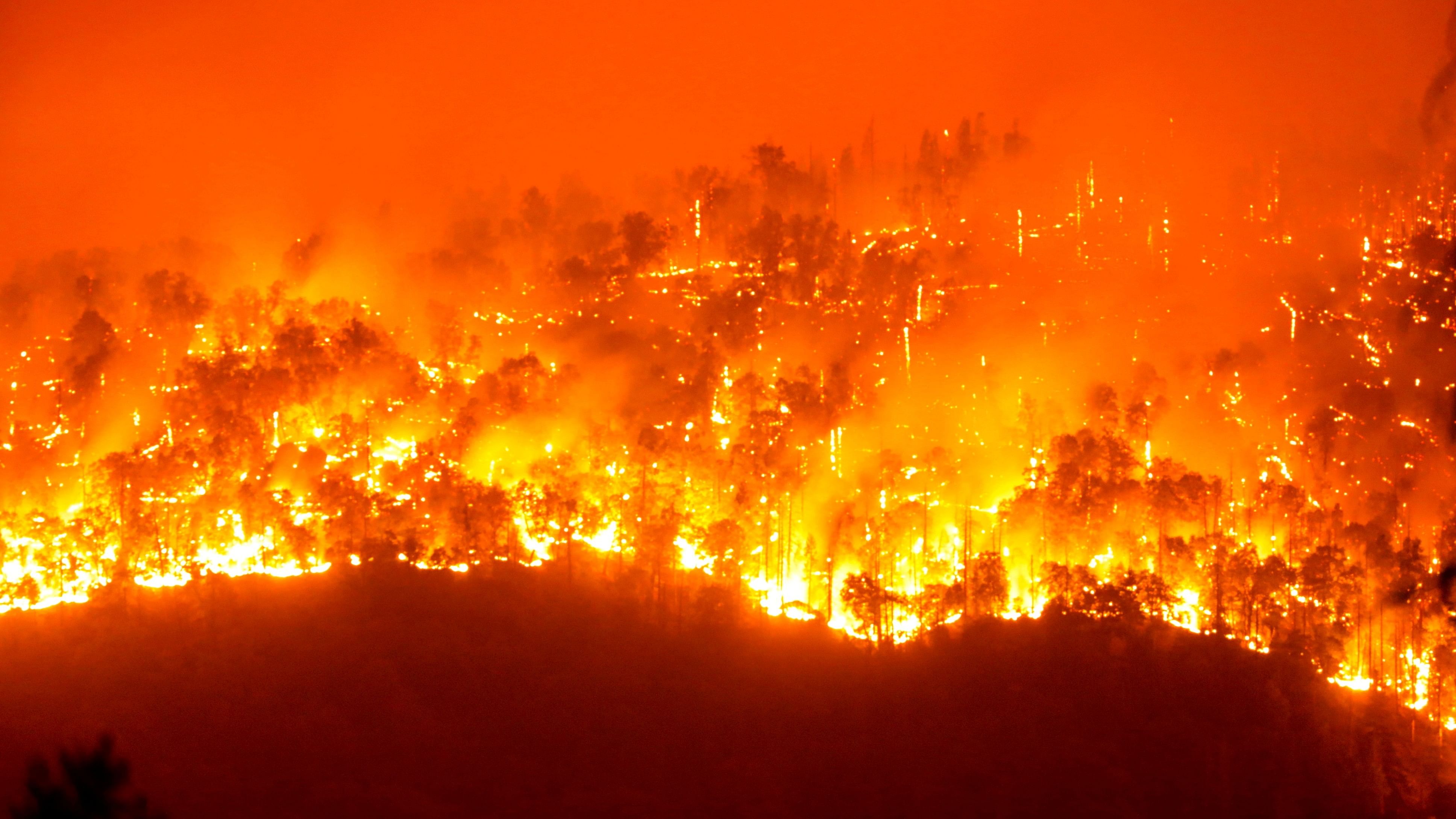 <div class="paragraphs"><p>The Windy Fire burns in Sequoia National Forest near California Hot Springs, California, US, September 24, 2021.</p></div>