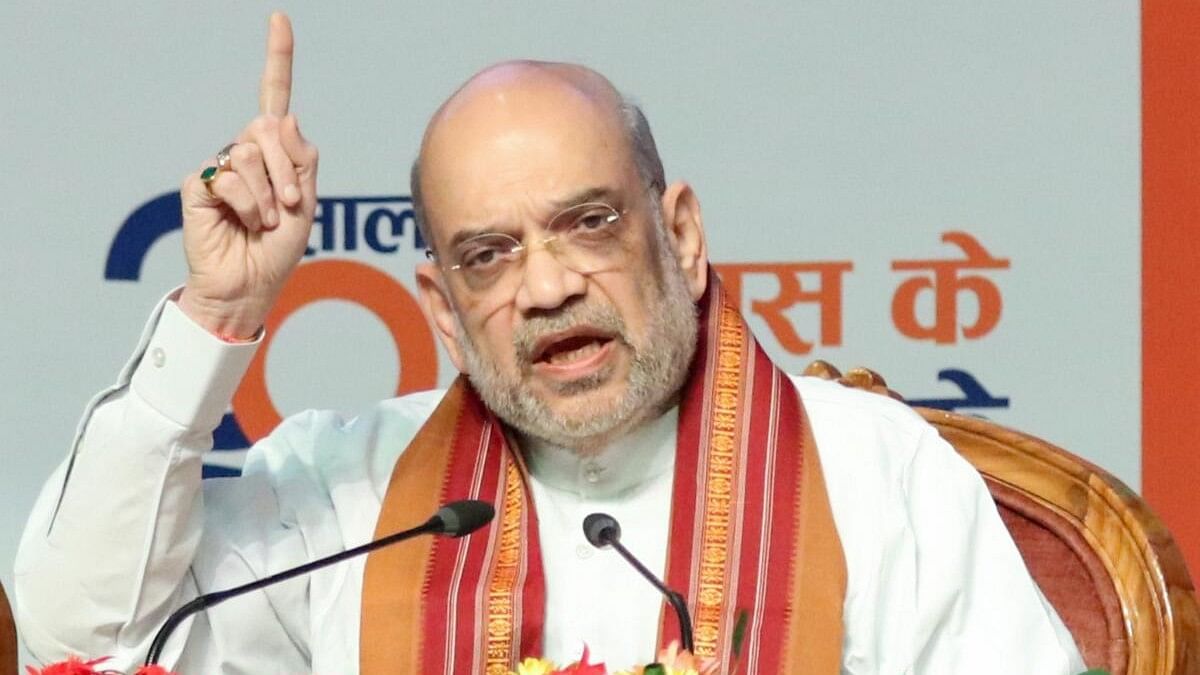 <div class="paragraphs"><p>Union Home Minister Amit Shah.</p></div>