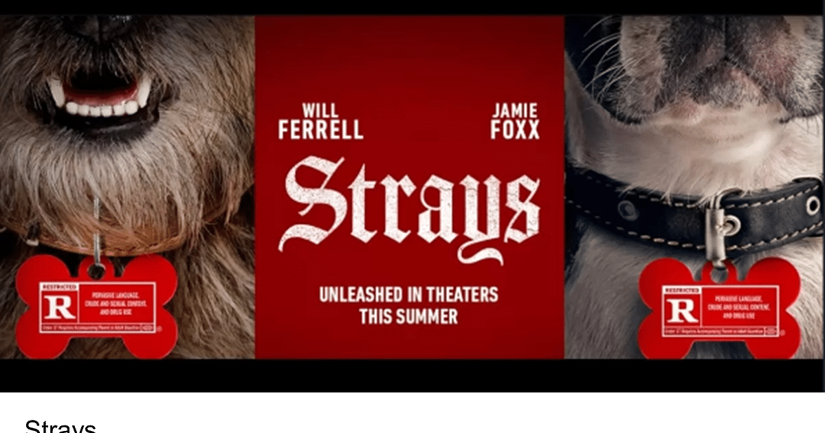 Where to Watch Strays Free Online Strays Streaming at Home