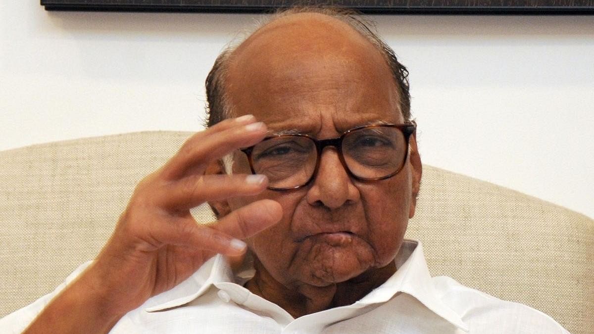 <div class="paragraphs"><p>NCP president Sharad Pawar</p></div>