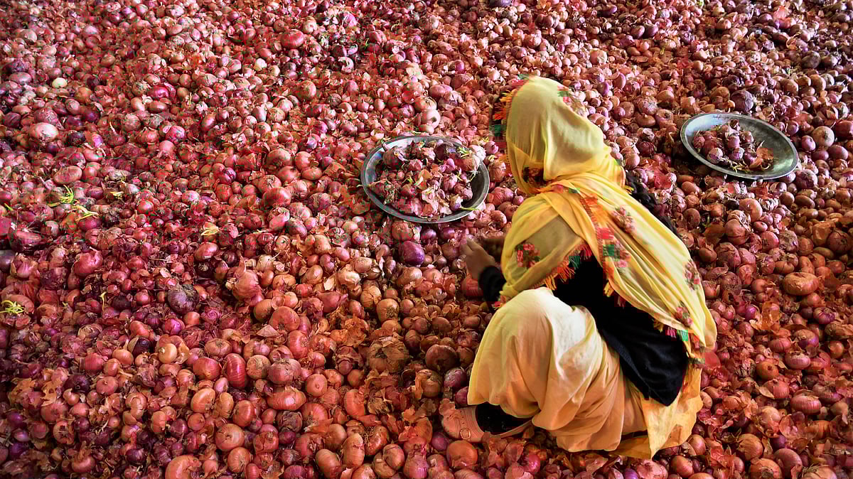 Govt to procure 2 lakh tonnes of onion to create total 5-lakh-tonne buffer stock this year