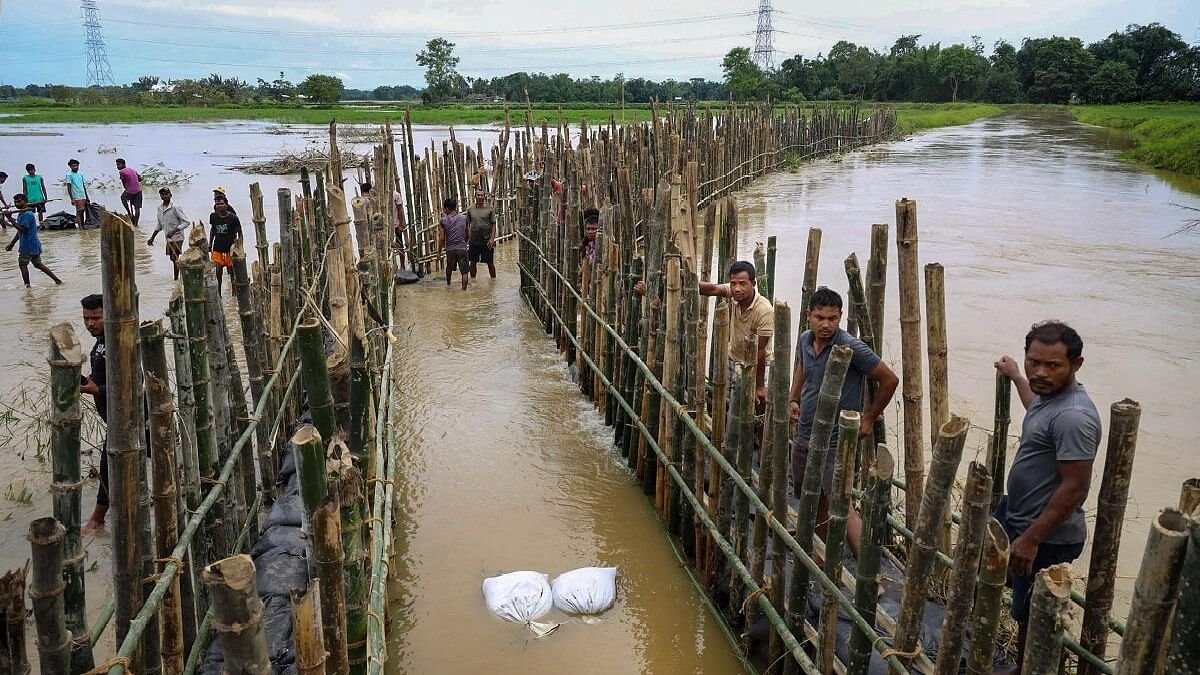 <div class="paragraphs"><p>Locals construct an embankment with bamboo and sandbags to prevent breach from floodwater during monsoon season, at Gohpur in Assam.&nbsp;</p></div>