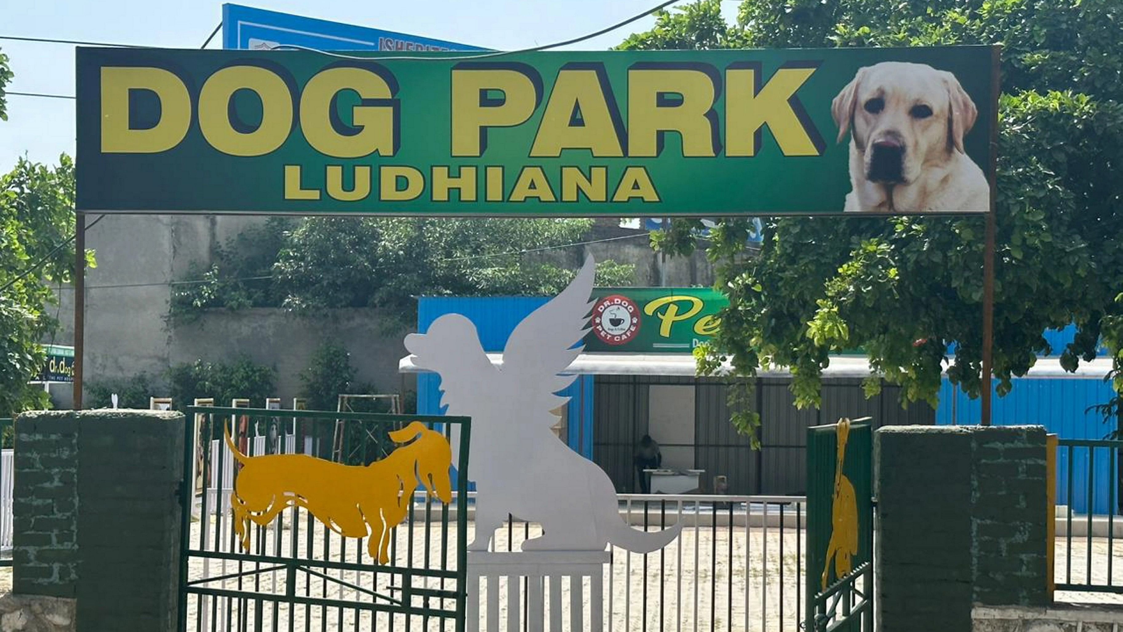 <div class="paragraphs"><p>A dog park in Ludhiana district.</p></div>