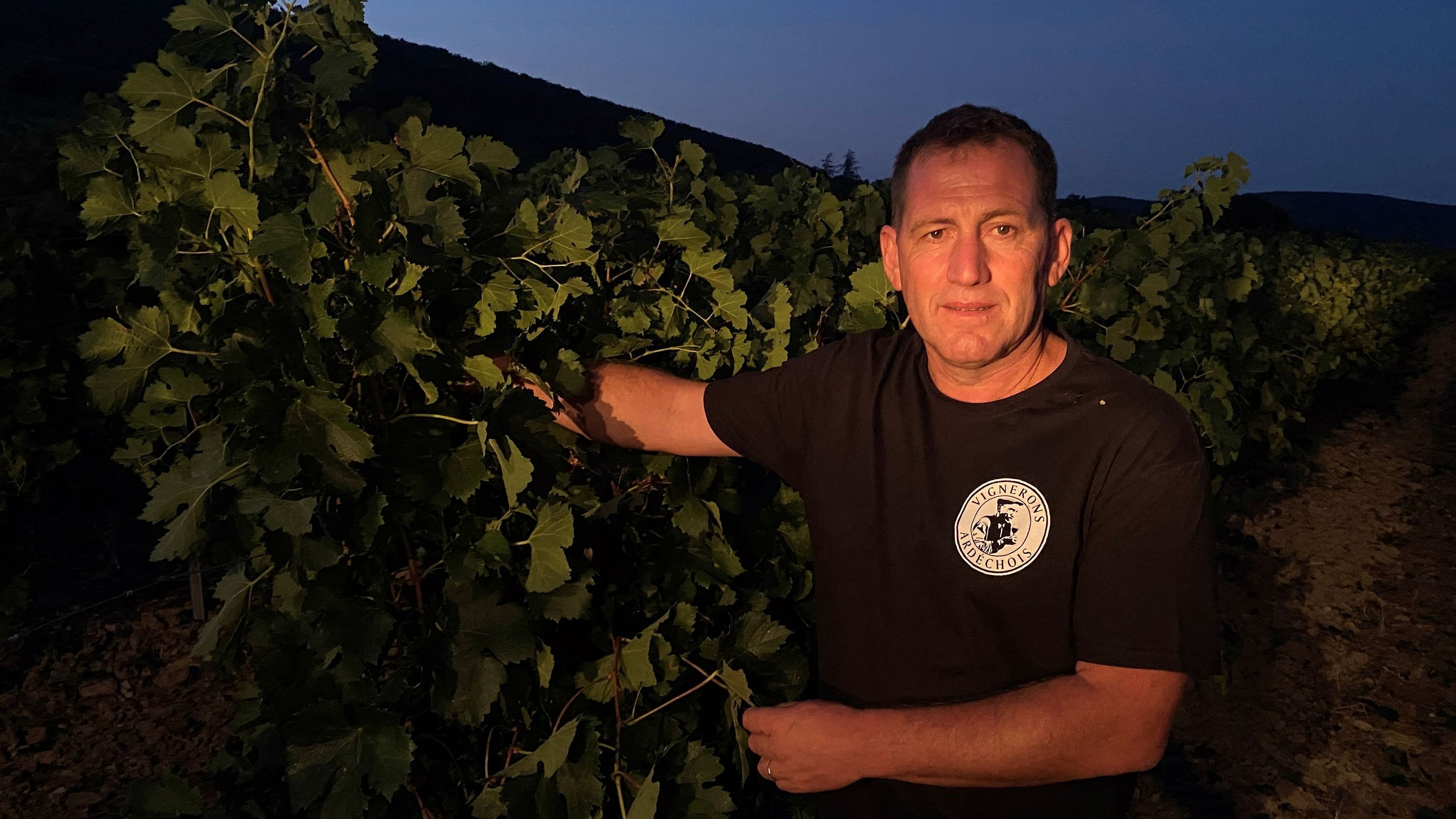 <div class="paragraphs"><p>President of wine making cooperative in a French vineyard during a night harvest.</p></div>