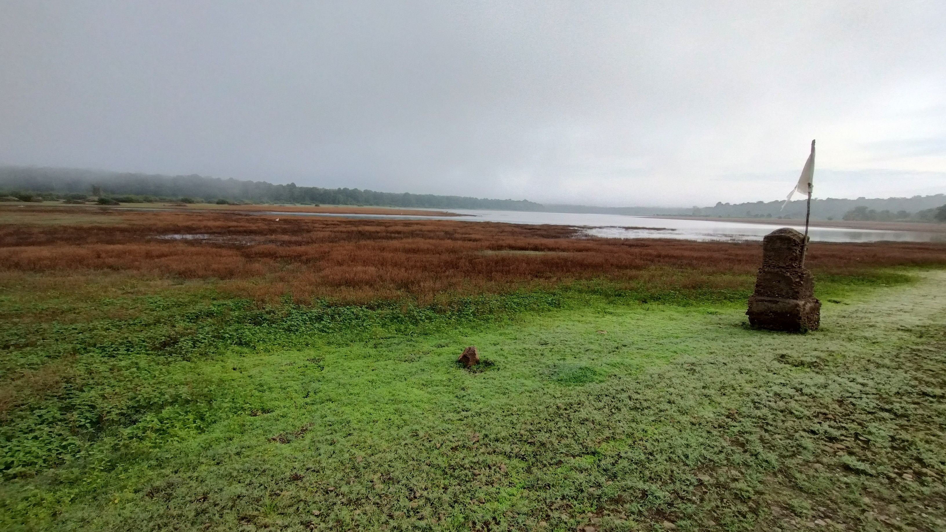 <div class="paragraphs"><p>The Kabini waters, which had water till the flag post last year, is almost dry now. </p></div>