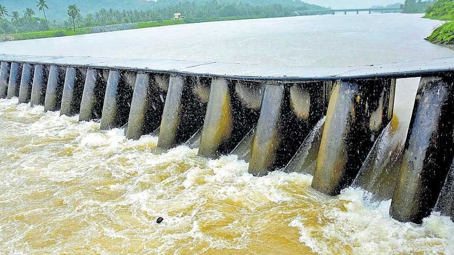 <div class="paragraphs"><p>A vented dam built across the River Gurupura in Dakshina Kannada, one of the 11 rivers in the state notified for national waterways.  </p></div>