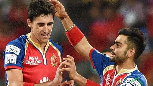 <div class="paragraphs"><p>Royal Challengers Bangalore Mitchell Starc with Virat Kohli during IPL match.</p></div>