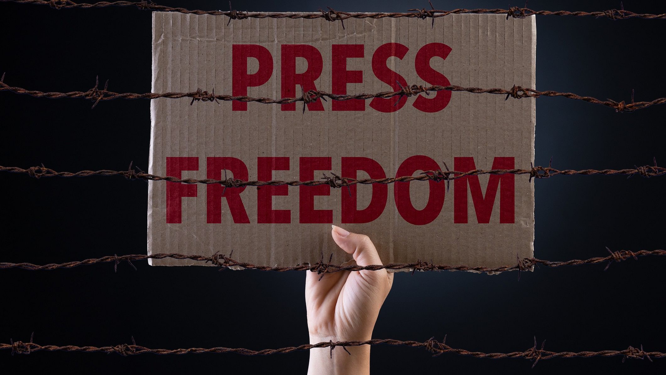 <div class="paragraphs"><p>Representative image of a hand holding a placard with 'Press Freedom' written on it.</p></div>