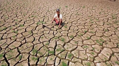 <div class="paragraphs"><p>This year, rainfall deficit stands at around 40%. A cabinet sub-committee headed by Revenue Minister Krishna Byre Gowda had earlier found that 161 taluks were severely affected, while 34 were moderately hit.</p></div>