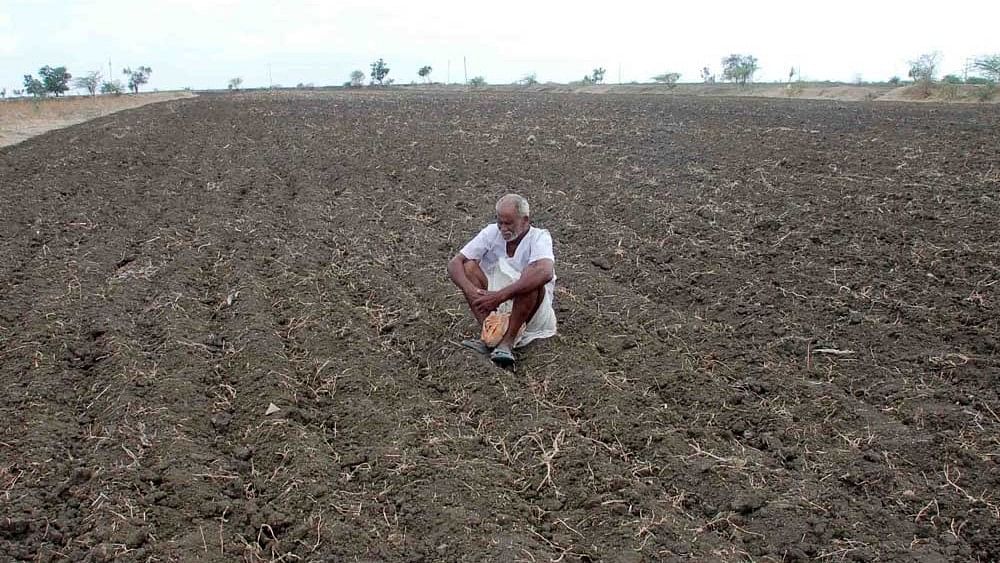 <div class="paragraphs"><p>A farmer on&nbsp;drought-hit land.&nbsp;</p></div>