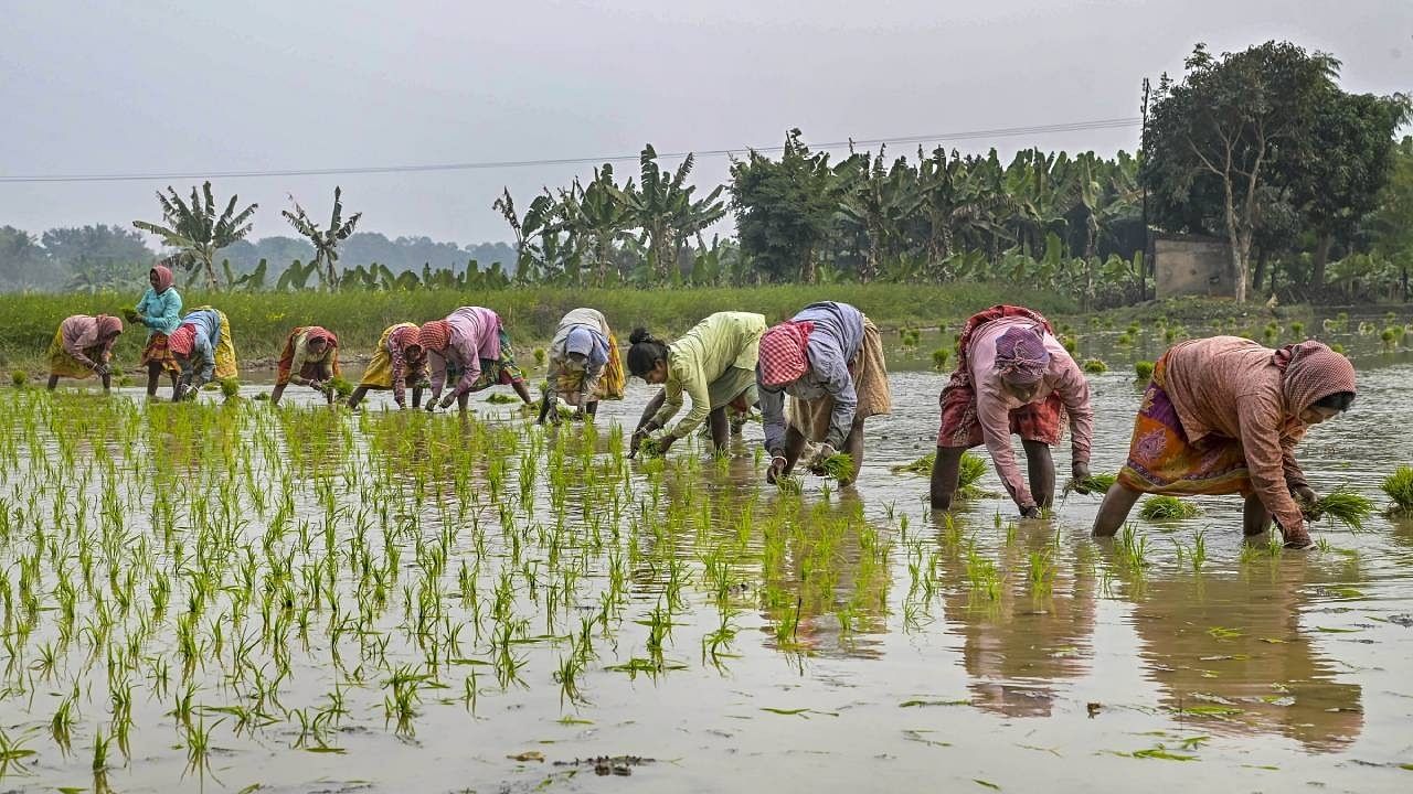 <div class="paragraphs"><p>The Pradhan Mantri Kisan Samman Nidhi scheme, launched by the Centre in 2019, was designed to support small and marginal farmers.</p><p><br></p></div>