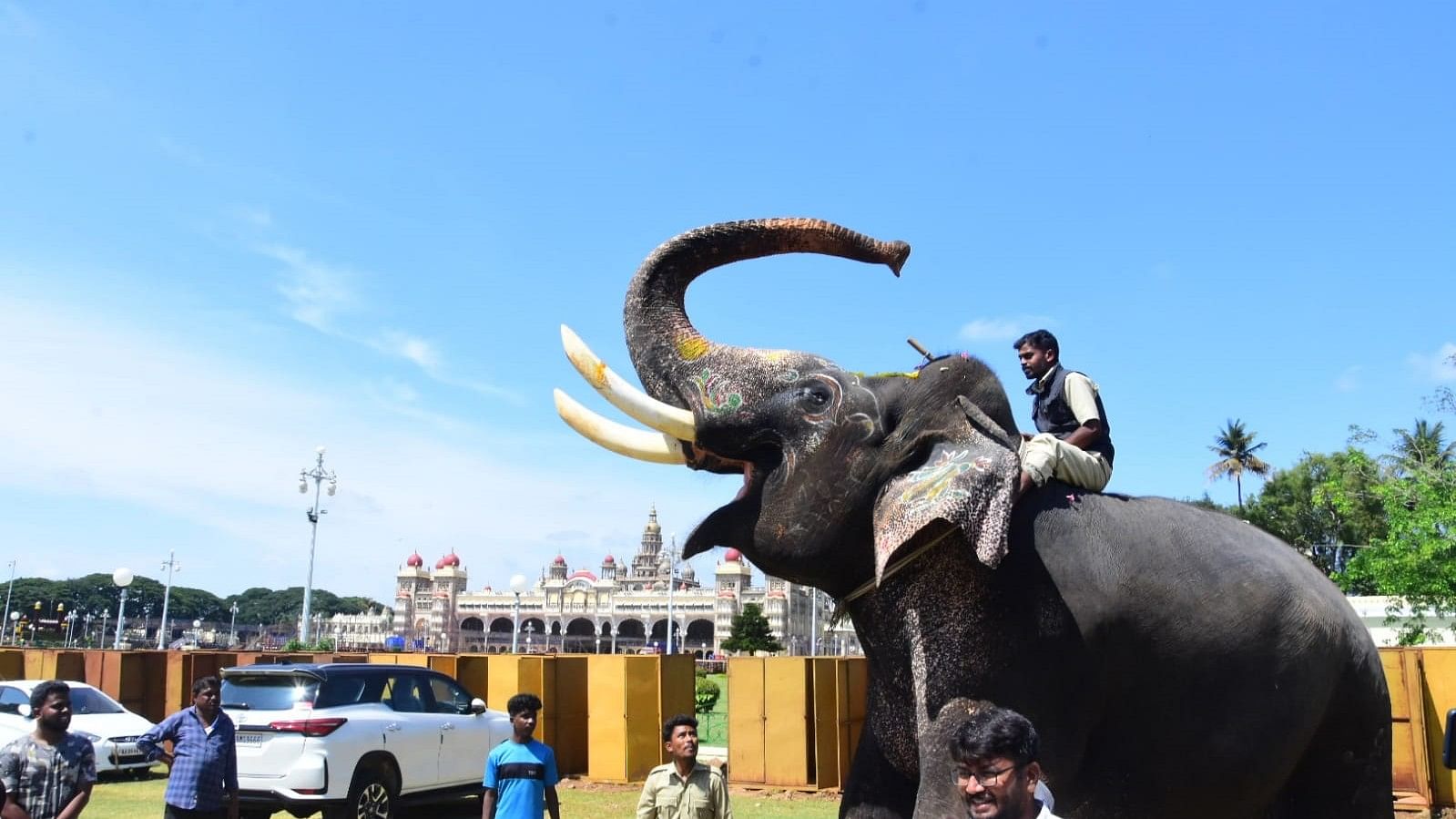 <div class="paragraphs"><p>Arjuna who missed his first round of weight check since he had been sent to combing operation to trace Tiger in H D Kote taluk was weighed and now among all of 15 Dasara Elephants Arjuna weighs the highest at 5680 kgs.</p></div>