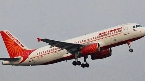<div class="paragraphs"><p>Representative image showing an Air India Flight.</p></div>