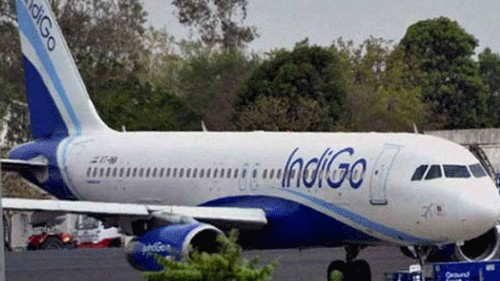 <div class="paragraphs"><p>Low-cost carrier IndiGo. </p></div>