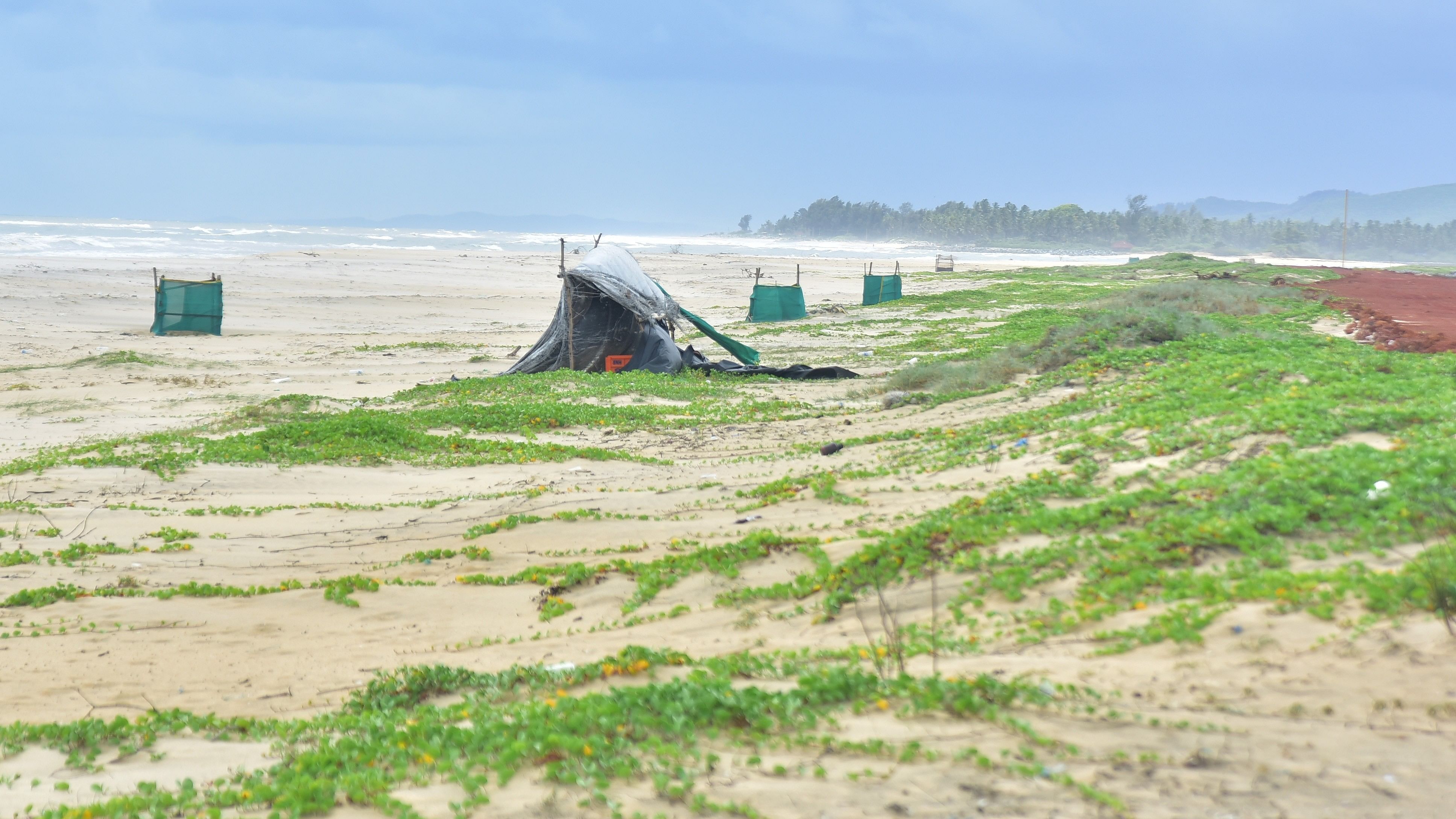 <div class="paragraphs"><p>National Green Tribunal stays work on laying of road connecting Honnavar Port with the national highway at Kasarkod Tonka village in Uttara Kannada district. The beach, next to which the private port is being constructed, is a nesting ground for sea turtles. </p></div>