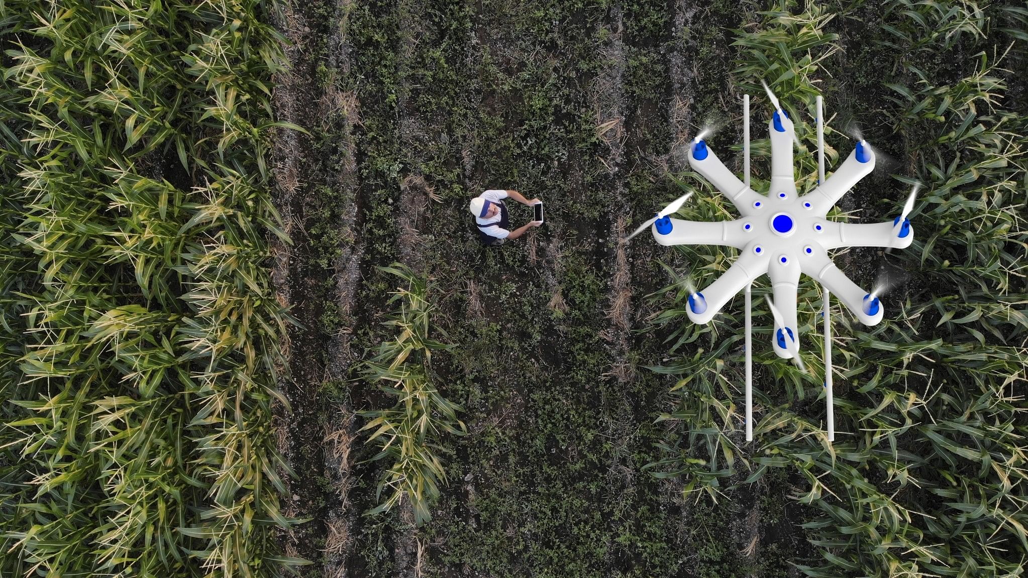 <div class="paragraphs"><p>Farmer spraying his crops using a drone.</p></div>