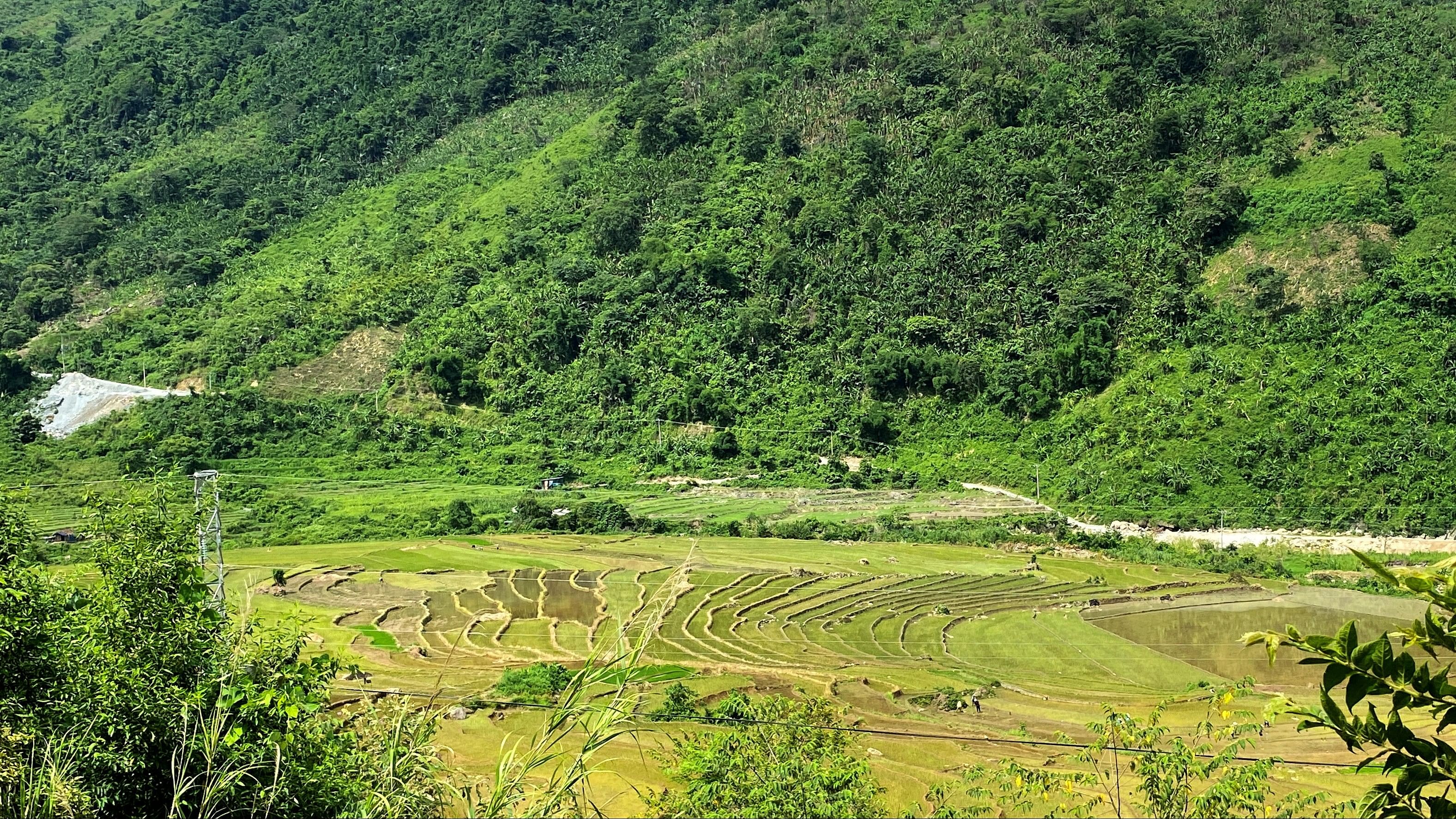 <div class="paragraphs"><p>An undated photo shows rice paddies where rare earth processing factory is planned near Nam Xe mine in Lai Chau province in Vietnam. </p></div>