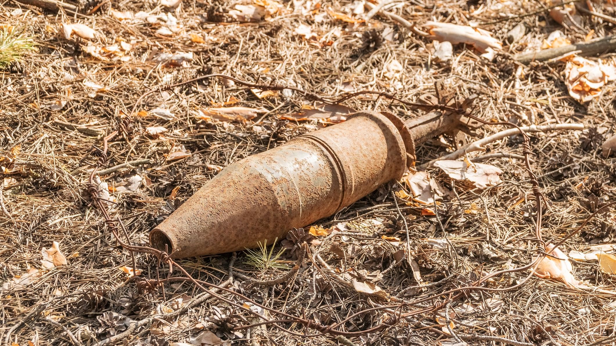 <div class="paragraphs"><p>Representative image of an unexploded rusty bomb.</p></div>