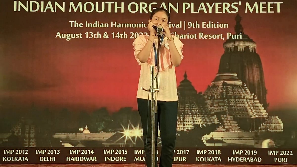 Harmonica meet in city