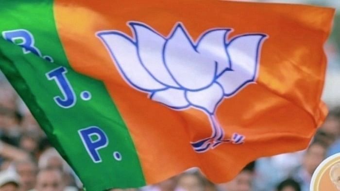 <div class="paragraphs"><p>The BJP flag. </p></div>