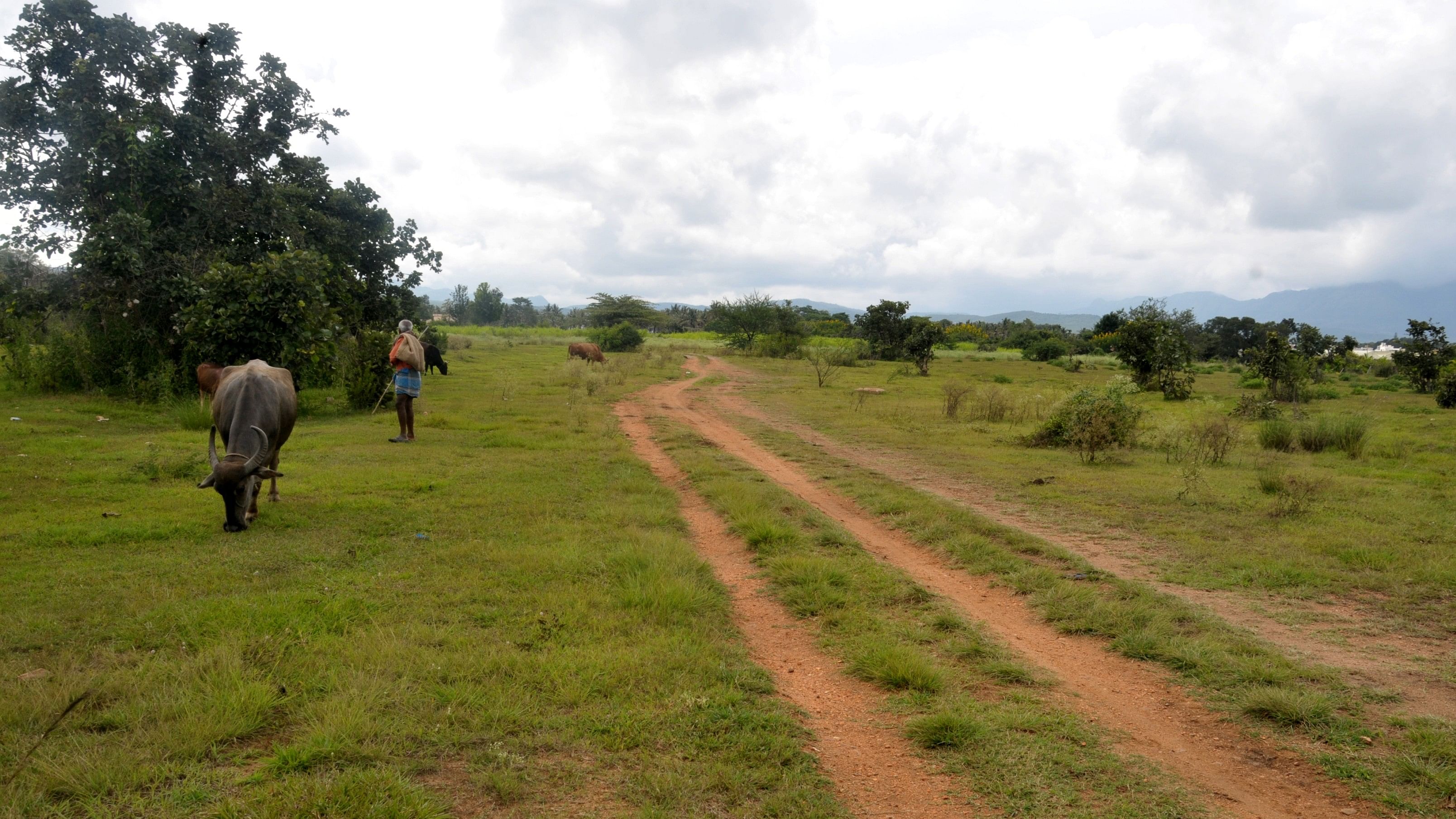 <div class="paragraphs"><p>The land earmarked for the mini airport, on the outskirts of Chikkamagaluru city.</p></div>