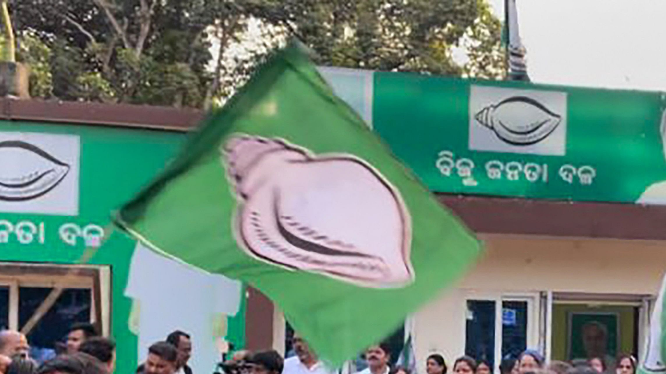 <div class="paragraphs"><p>Representative image of BJD flag. </p></div>