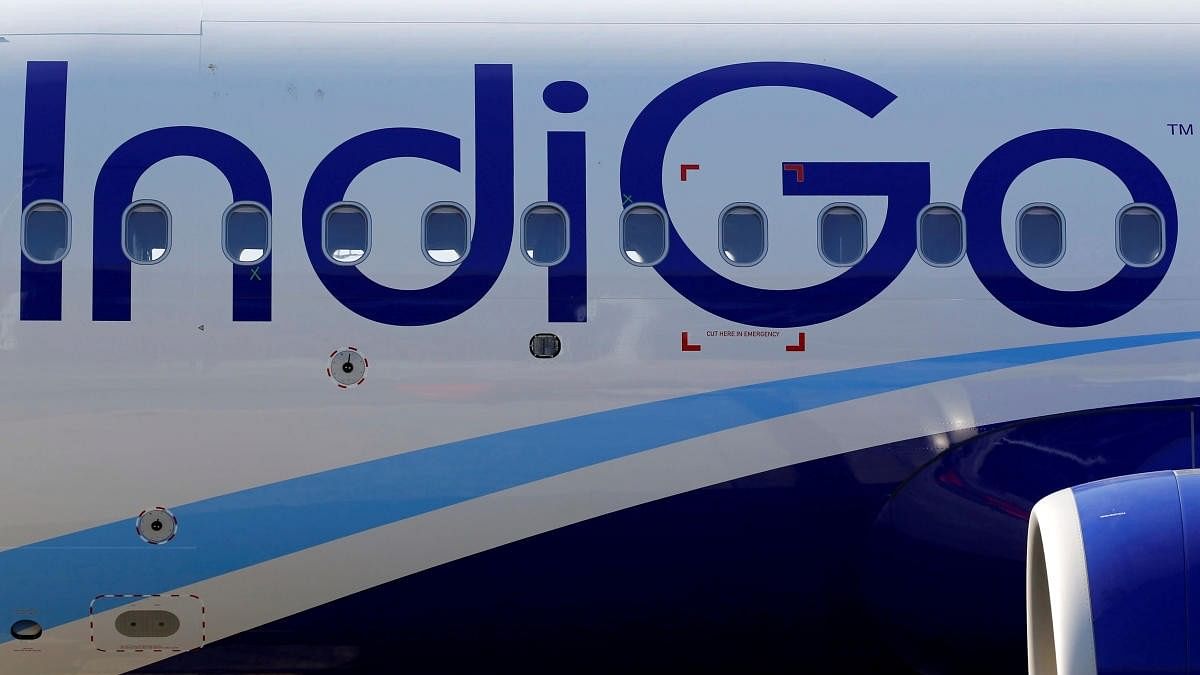 <div class="paragraphs"><p>IndiGo, India's largest airline by market share. </p></div>