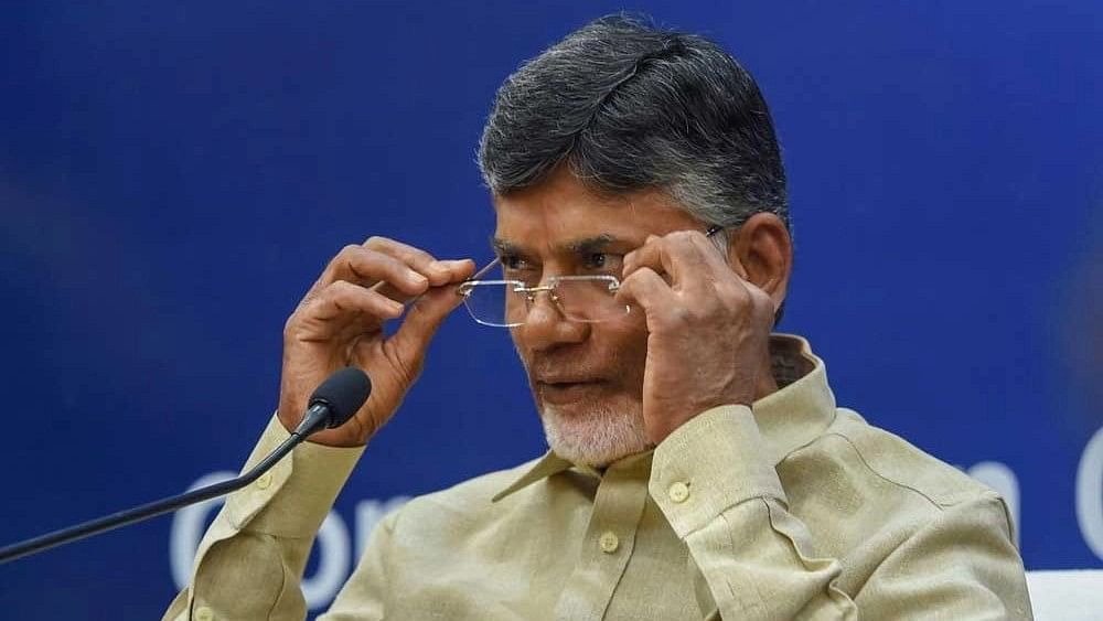 <div class="paragraphs"><p>TDP's N&nbsp;Chandrababu Naidu. </p></div>