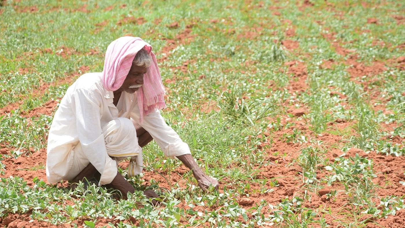 <div class="paragraphs"><p>Karnataka has declared 195 taluks (blocks) as drought-hit.</p></div>